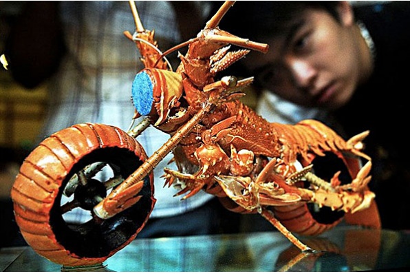 每日新聞 - Motorcycle lobster 神奇龍蝦電單車模型