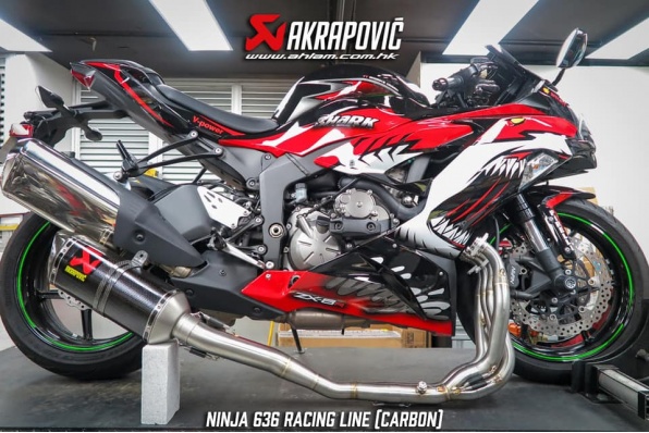 2019  Kawasaki Ninja 636 蠍子專用碳纖維全梳