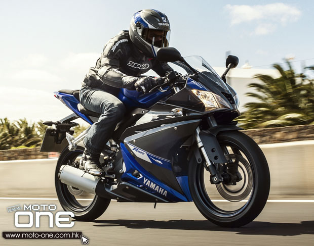 2014 YAMAHA YZF-R125