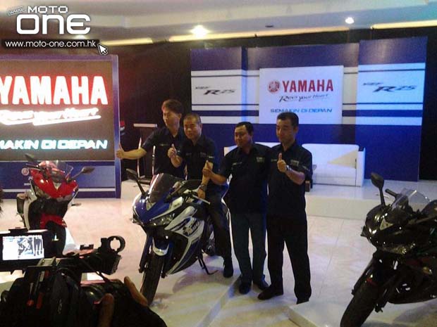 2015 Yamaha YZF R25