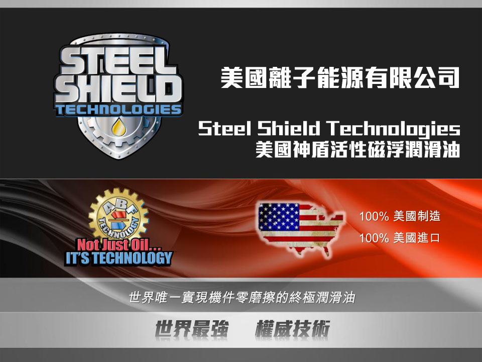 STEEL SHEILD REPORT