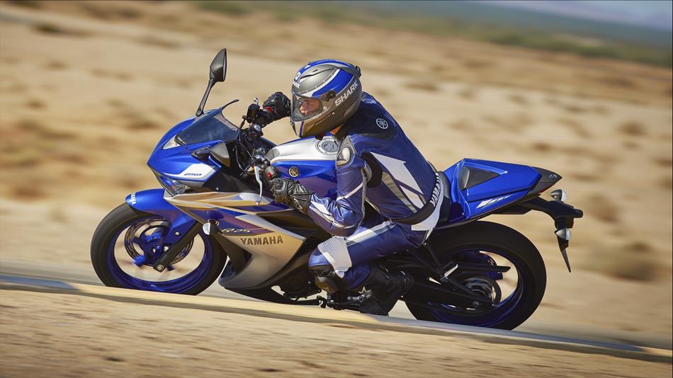 2015 Yamaha YZF R25