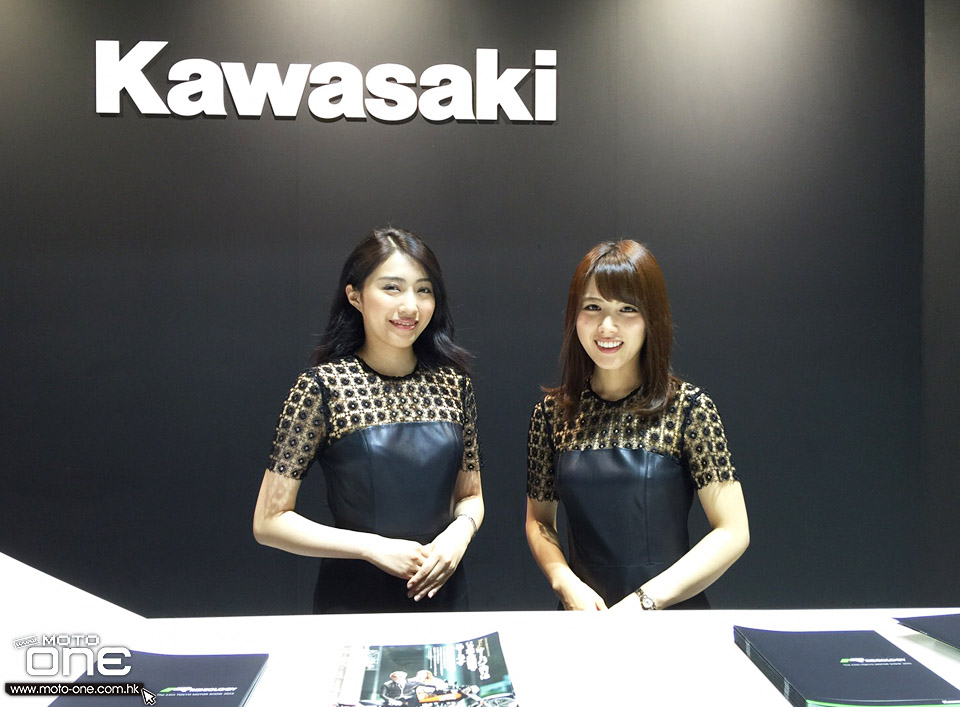 2015 KAWASAKI ZX-10R