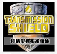 STEEL SHEILD REPORT