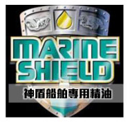 STEEL SHEILD REPORT