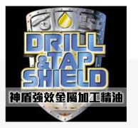 STEEL SHEILD REPORT