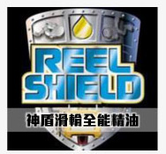 STEEL SHEILD REPORT