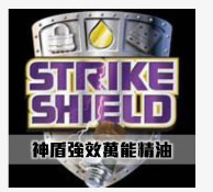 STEEL SHEILD REPORT