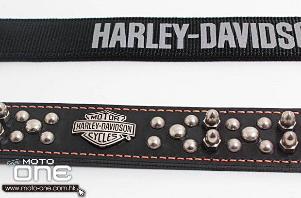 harley davidson pet